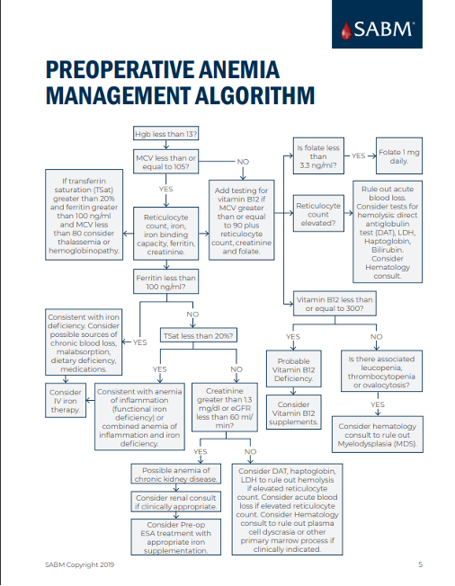 SABM Preoperative Anemia Management Algorithm SABM Preoperative Anemia Management Algorithm